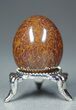 Agatized Dinosaur Bone Egg - Stunning! #4275-1